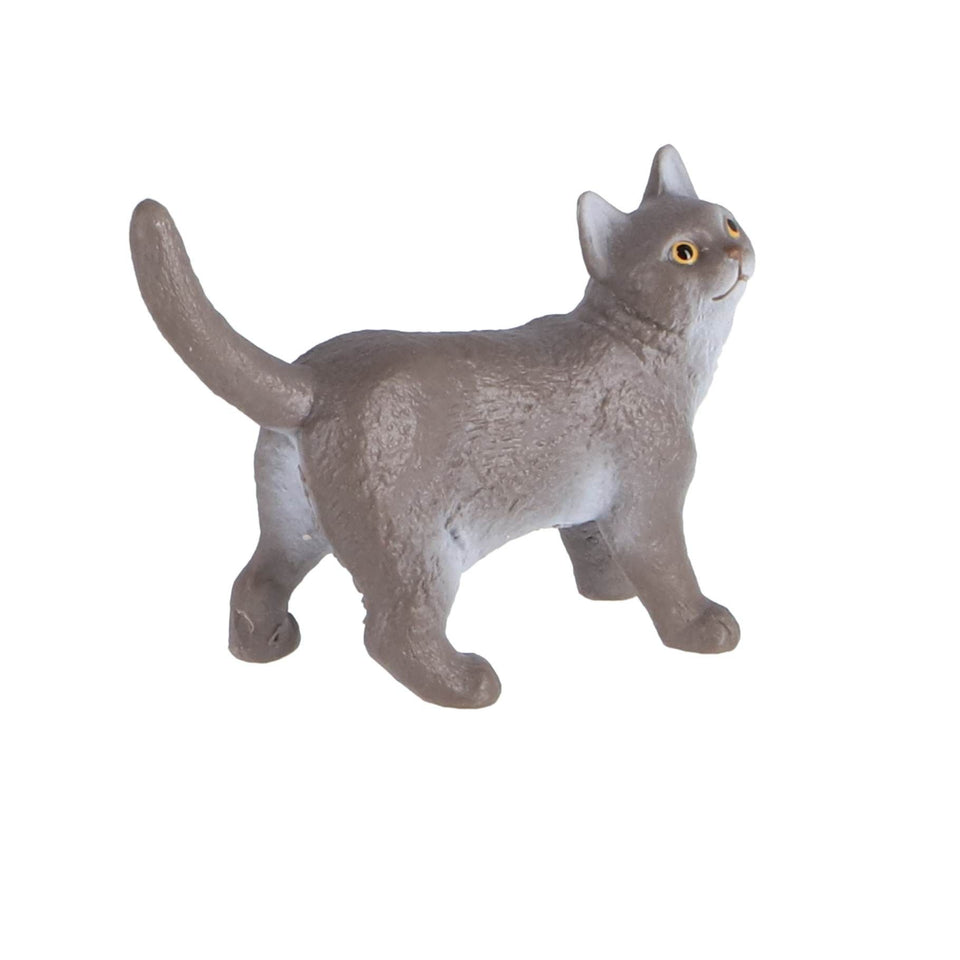 Schleich 13973 Britse korthaar