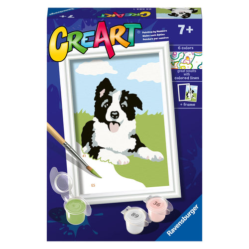 Ravensburger Creart schilderen op nummer border  collie