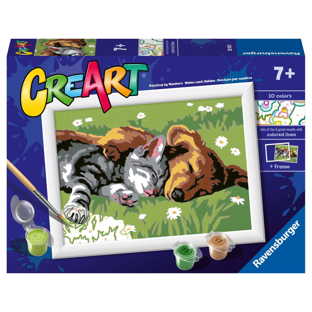 Ravensburger Creart schilderen op nummer slapende  hond en poes