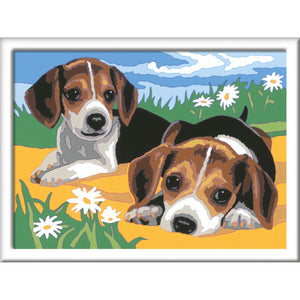 Ravensburger Creart schilderen op nummer  Beagle puppies