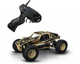 Radiografisch Bestuurbare Auto Carrera Desert  Buggy 1:24