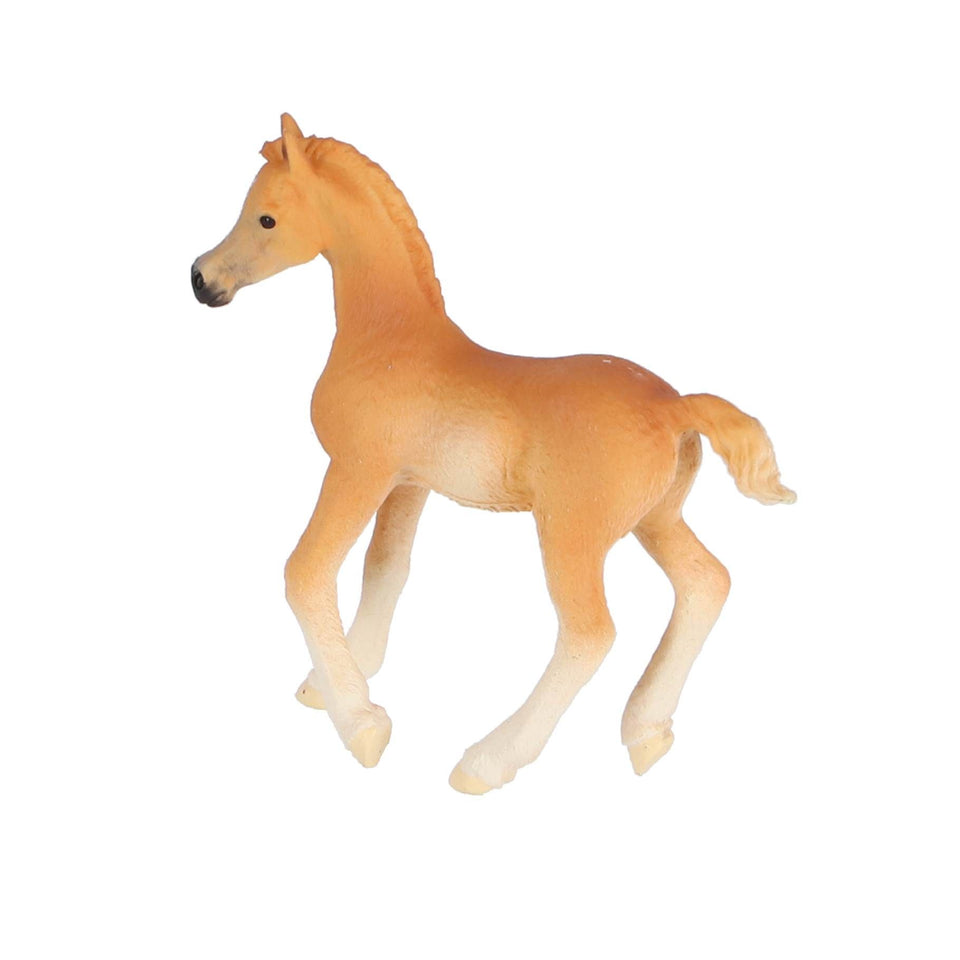 Schleich 13984 Arabisch veulen