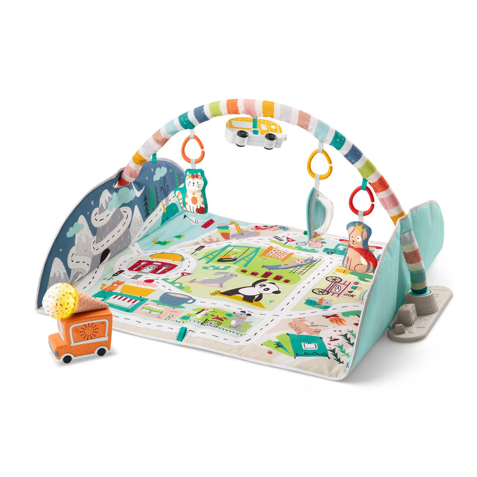 Fisher Price Activity City Gym