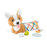 Fisher-Price Puppy Tummy Kussen  3 In 1