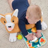 Fisher-Price Puppy Tummy Kussen  3 In 1