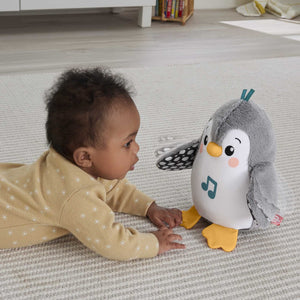 Fisher Price Flap & Wobble Pinguin