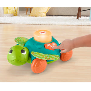 Fisher-Price Linkimals Zit-en-Kruip Zeeschildpad