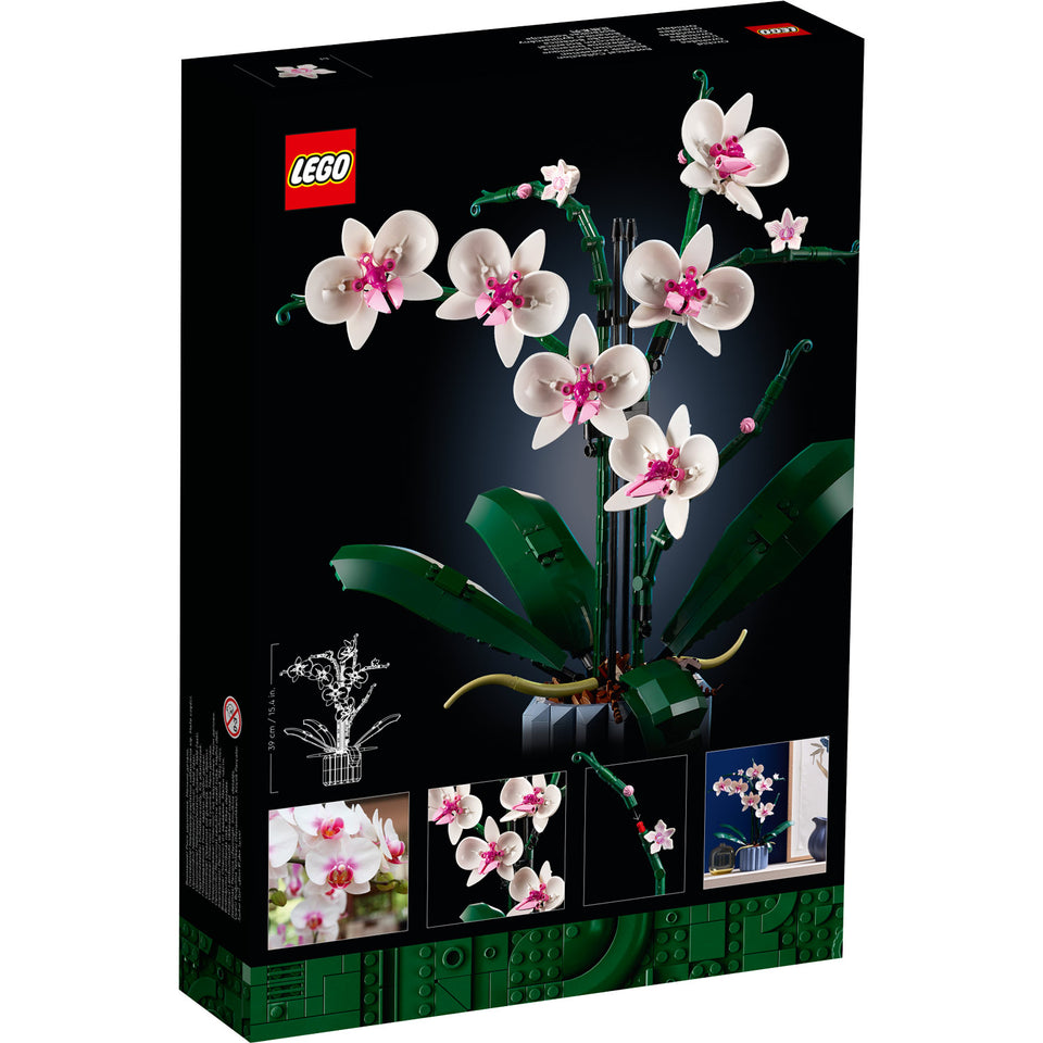 LEGO Icons 10311 Orchidee