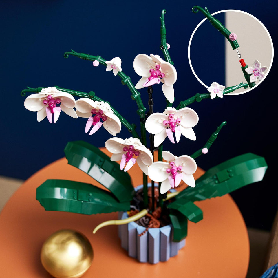 LEGO Icons 10311 Orchidee