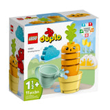 LEGO 10981 DUPLO Groeiende wortel