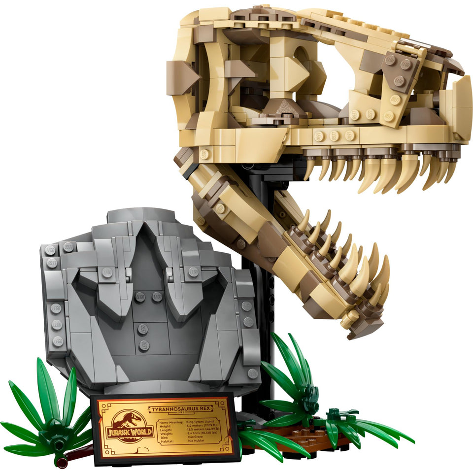 LEGO 76964 Jurassic World Dinosaurusfossielen:  T. rex schedel