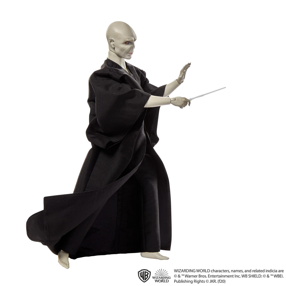 Harry Potter Lord Voldemort Pop