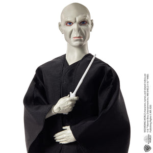 Harry Potter Lord Voldemort Pop