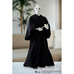 Harry Potter Lord Voldemort Pop