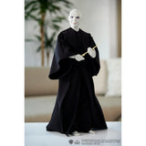 Harry Potter Lord Voldemort Pop