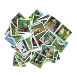 Ravensburger Memory Jonge Dieren Pocket