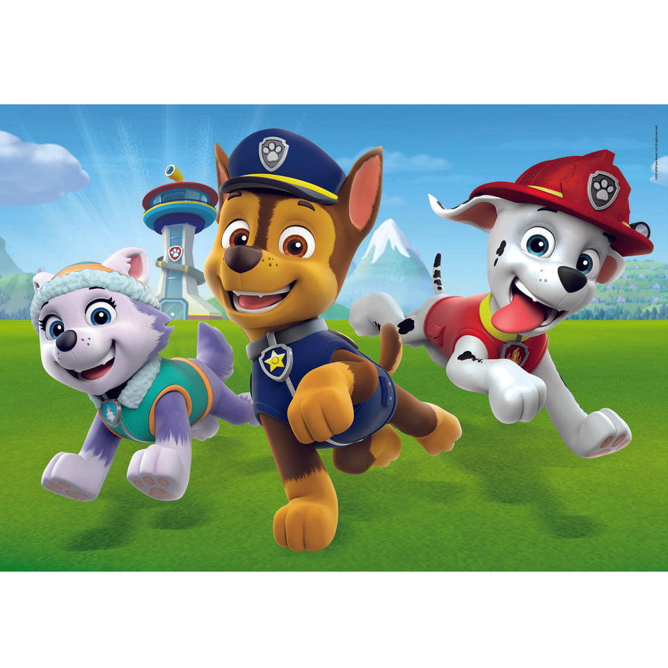 Clementoni paw patrol puzzel 2 x 20 stukjes