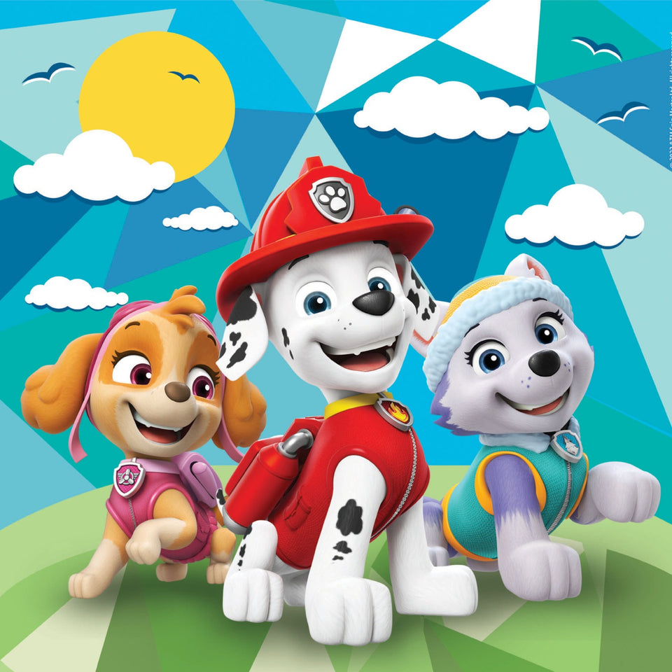 Clementoni paw patrol puzzel 3 x 48 stukjes