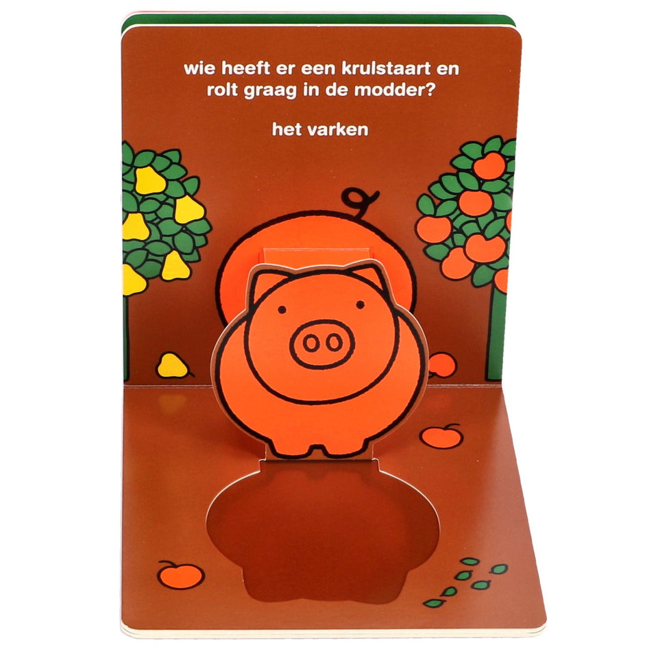 Pop Up Boek dieren