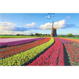 Ravensburger puzzel Hollandse windmolen 1000  stukjes